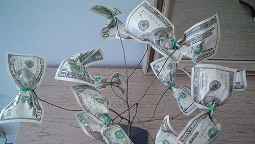 Money tree