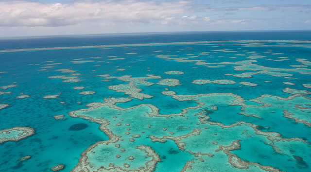 Barrier reef3