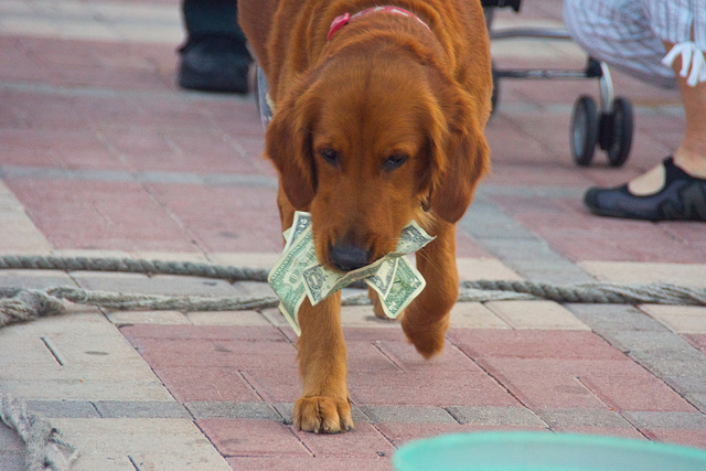 Free money2